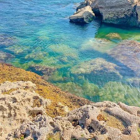 Your Place In Appartement *